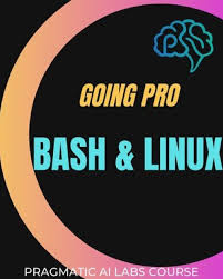 Linux and Bash Going Pro