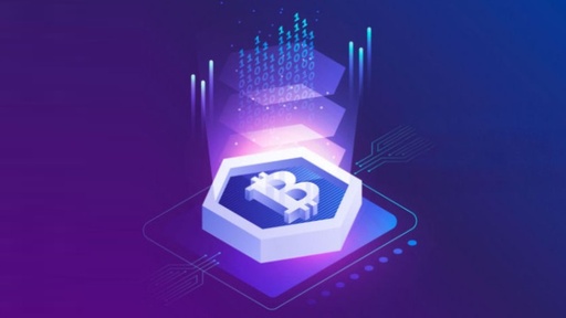 The Complete Blockchain Professional Course 2019-2 -Udemy
